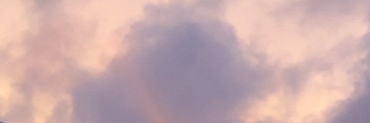 Sarah DeFors banner