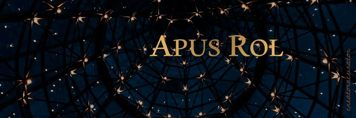 Carina_ApusRM's profile banner image