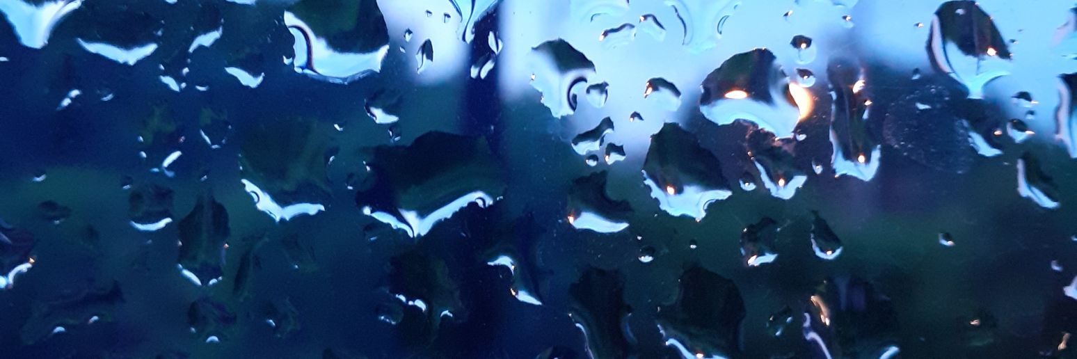 SheiCanela's profile banner image