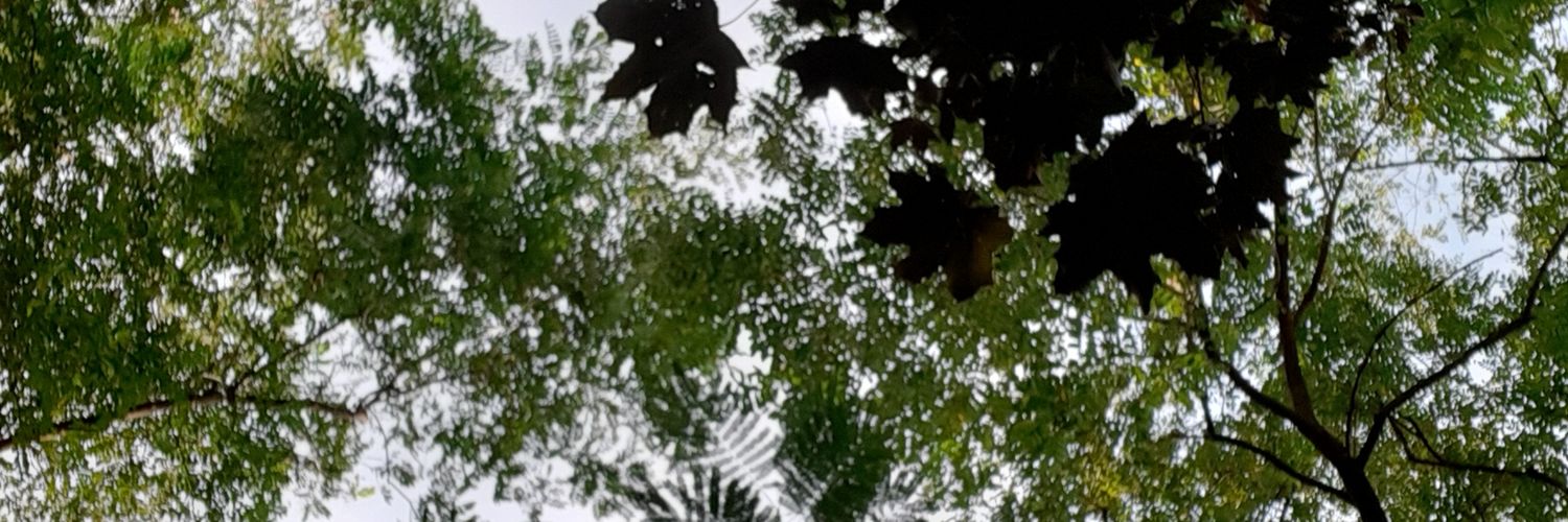 KovcsDomcs's profile banner image