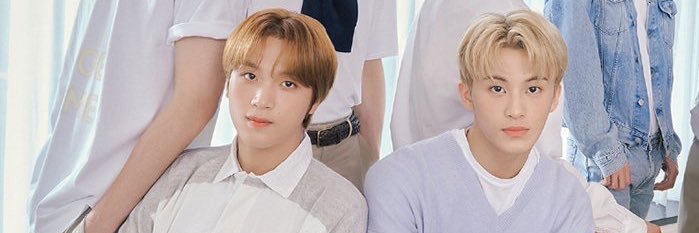 🐯🐻 banner