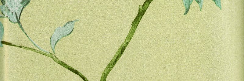 Be Kind banner