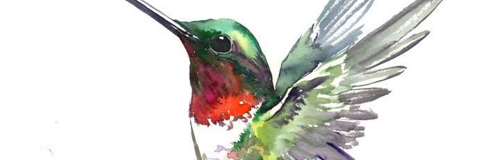 cavaliere_a's profile banner image