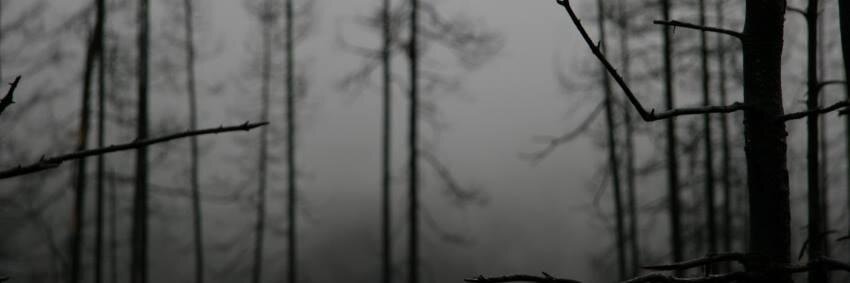 eImpa's profile banner image