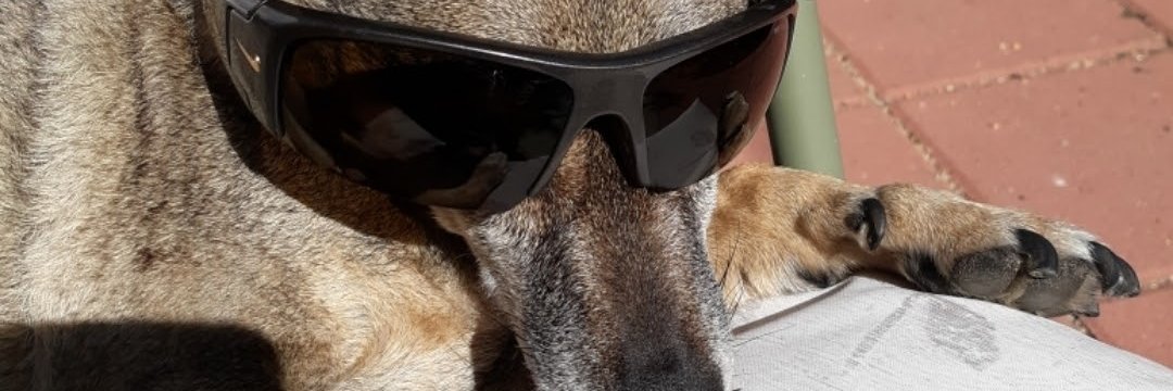 Alandebutton's profile banner image