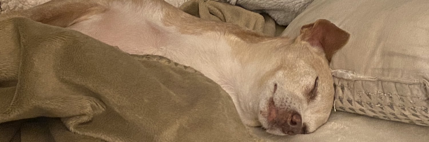 JackJack’s Journal banner