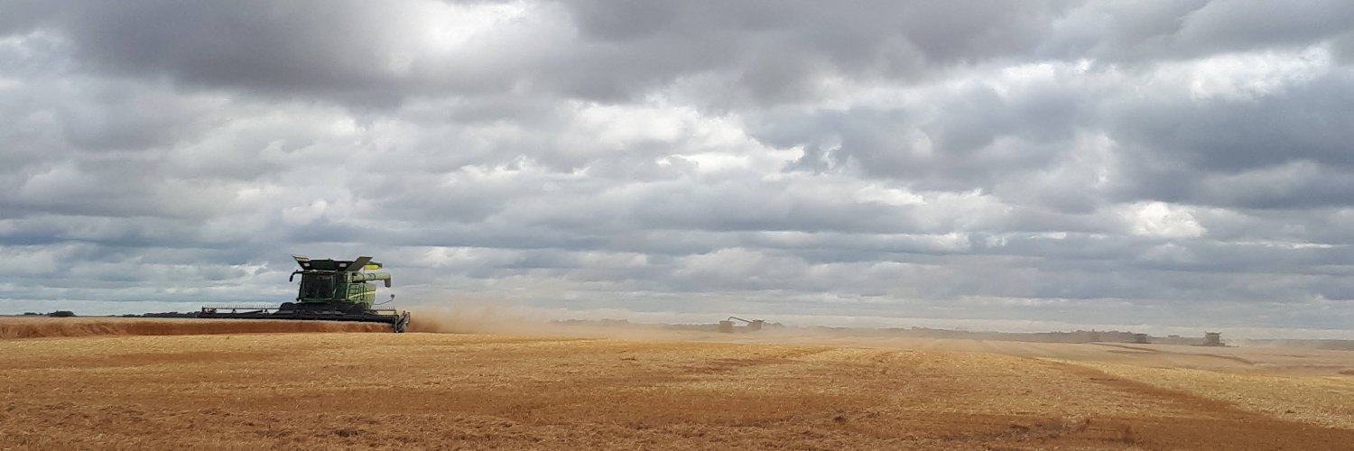 David MacTaggart banner