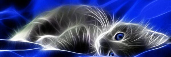 RoverT Profile Banner