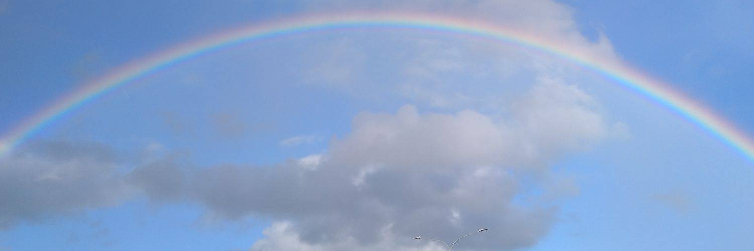 Centre for Research on Modern Slavery banner