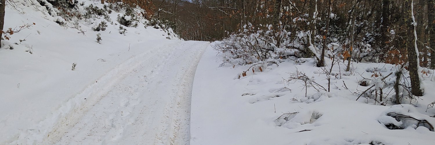 José #CapitalismoMata banner