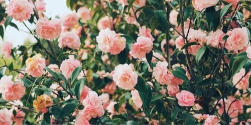 taylorjbutner's profile banner image