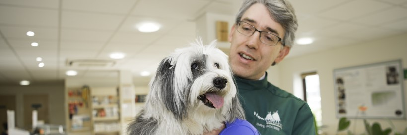 NewnhamVets's profile banner image