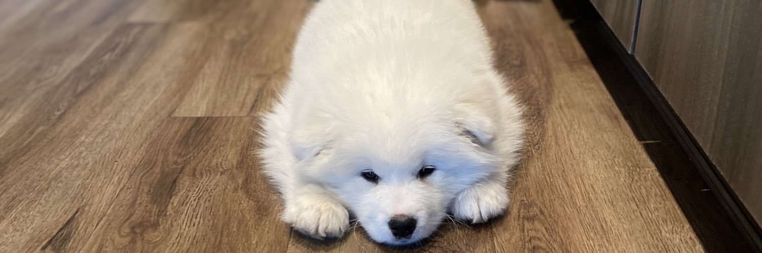 _beellaa_'s profile banner image