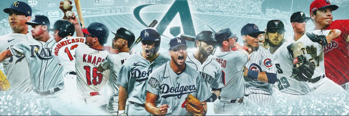 Tripper Johnson banner