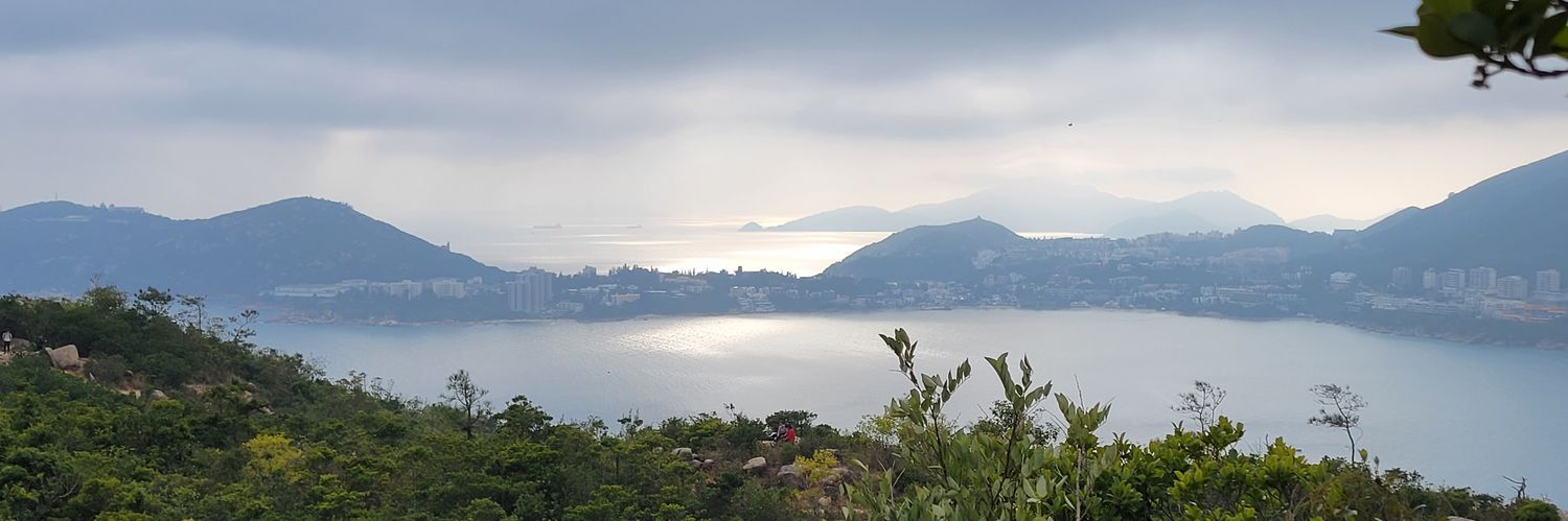 Crypto Currency Fanatic banner