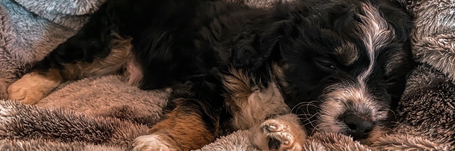 imcamileyow's profile banner image