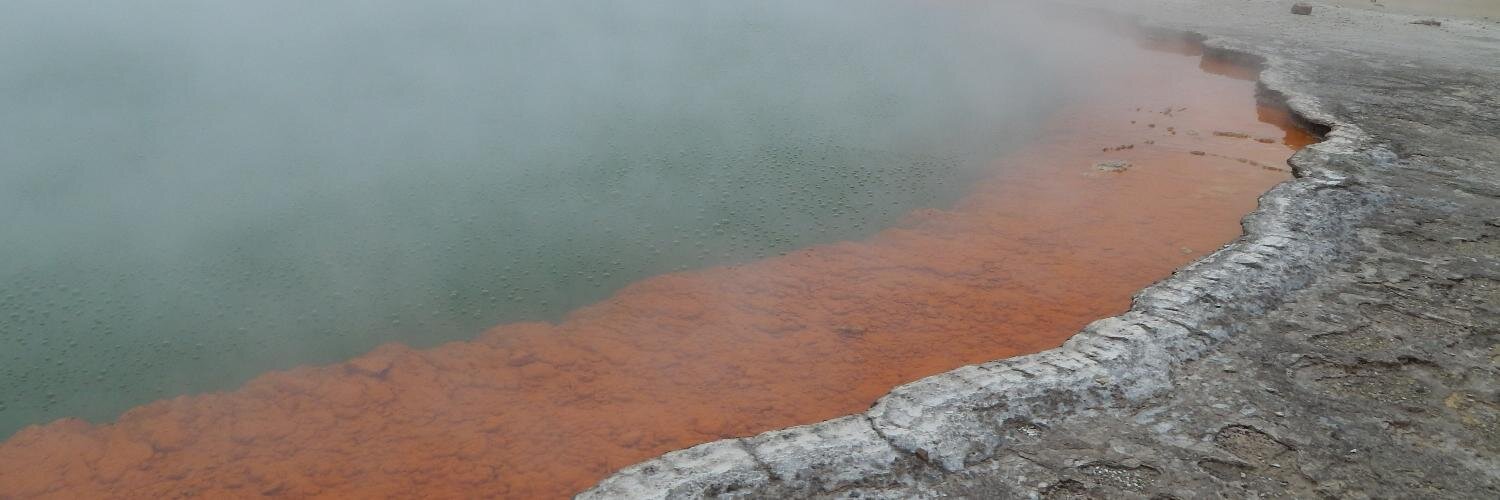 Sandra Kuipers banner