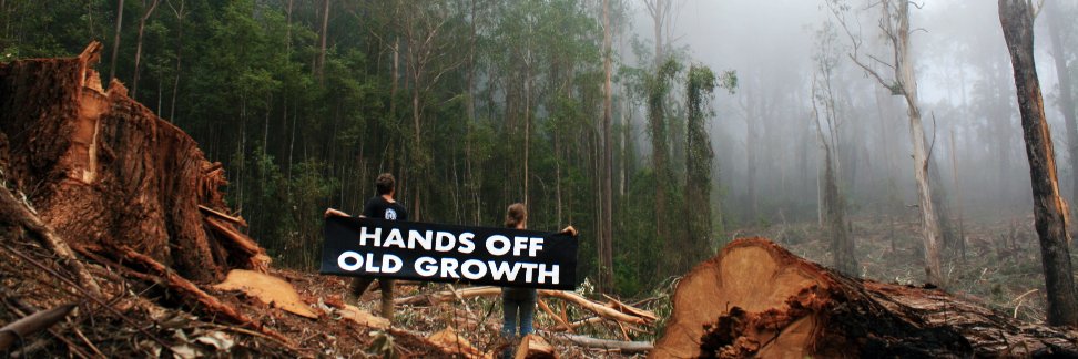 Ecoshouting's profile banner image