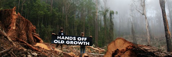 Ecoshouting Profile Banner