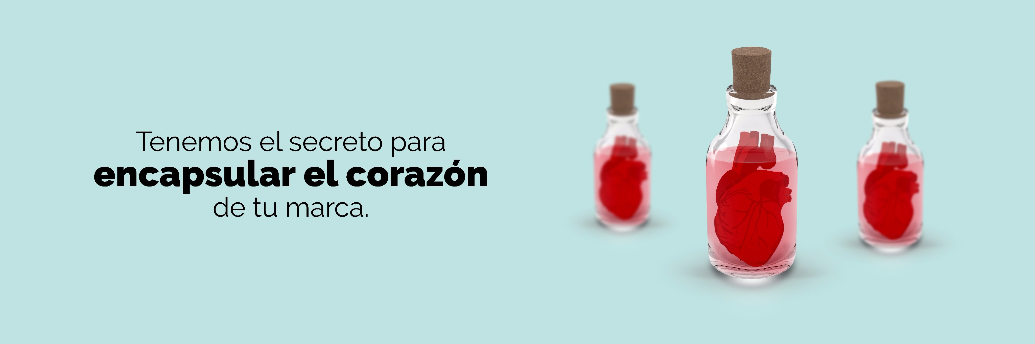 tal_paracual's profile banner image