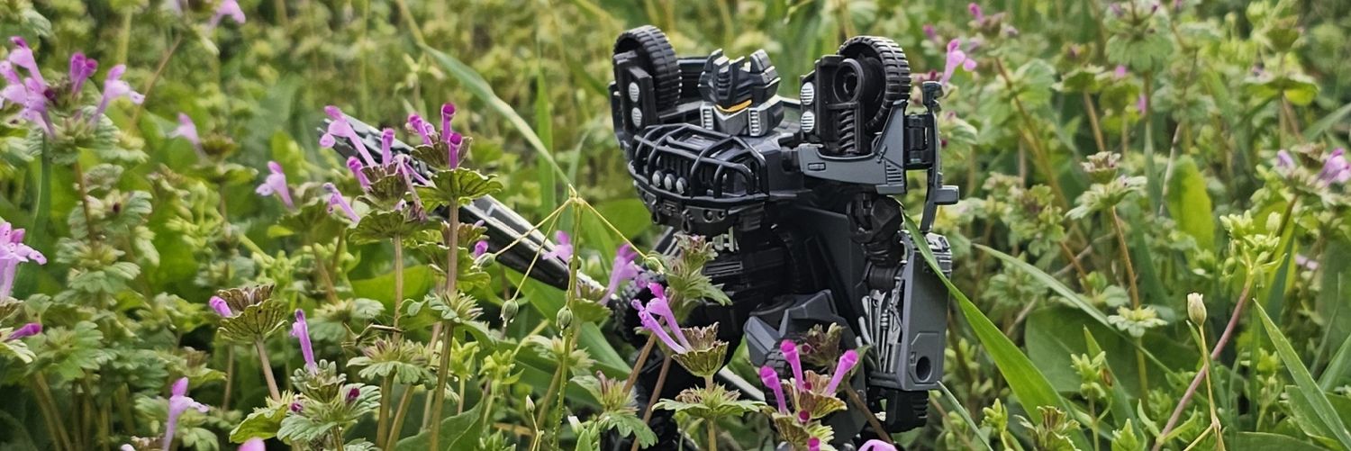 ㅏλvэㄹㅏиn banner