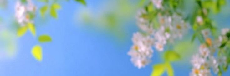 oksel banner
