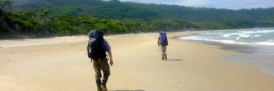 Simon Baptist Econ banner