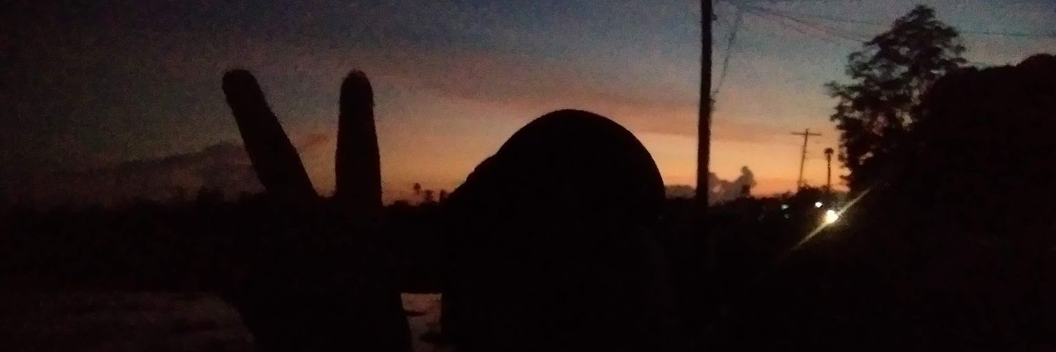 ChxrystAnne's profile banner image