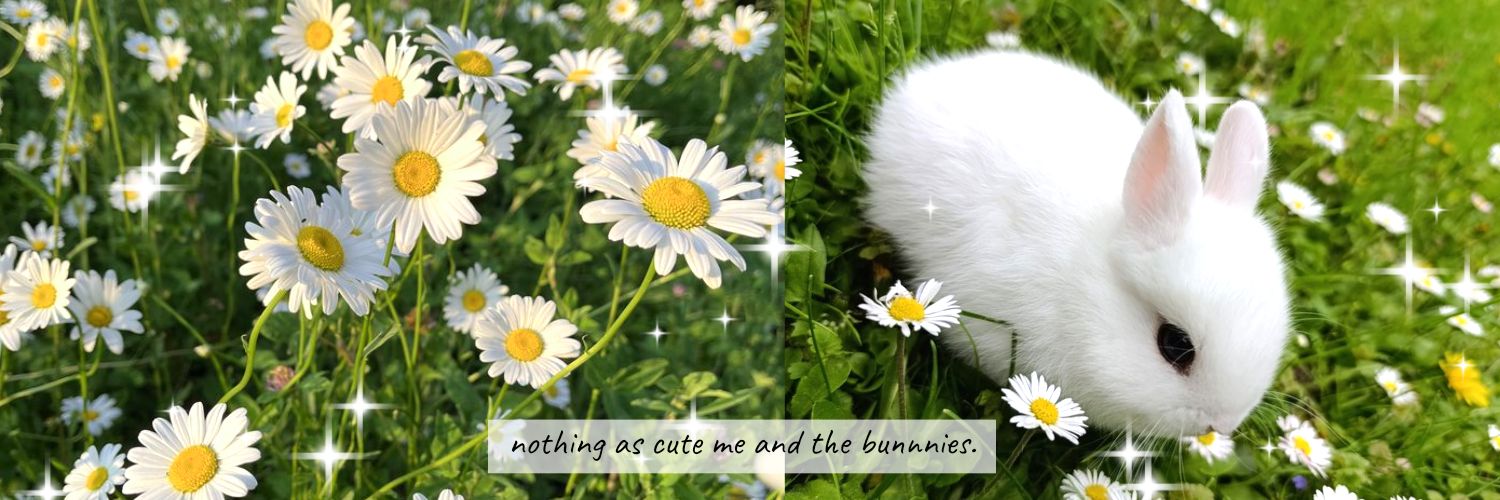 𝐀𝐫𝐨𝐥𝐢𝐧𝐧𝐞 banner
