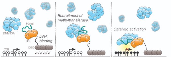 EdwinNNeumann Profile Banner