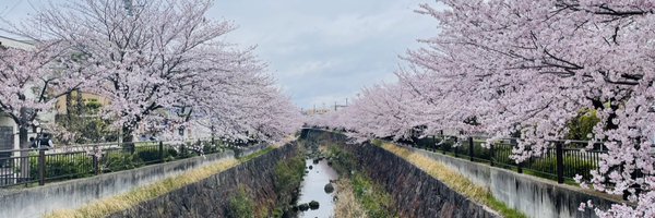 joonha35 Profile Banner