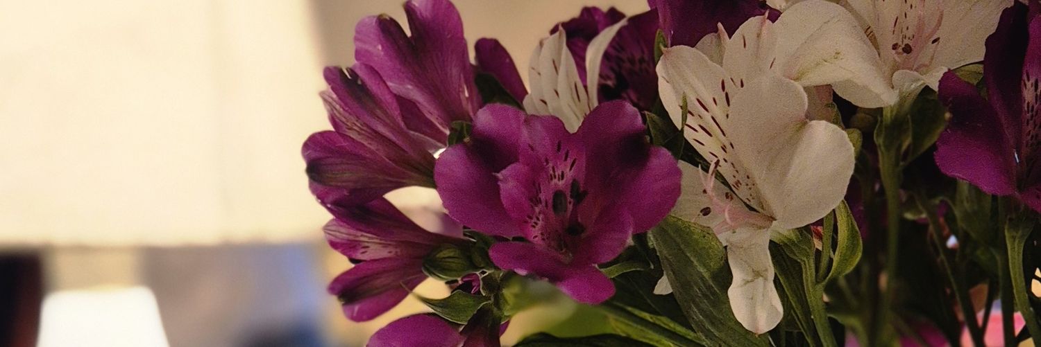 🍓 خانوم فاقول 🙂‍↔️ banner