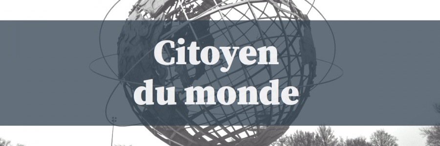 Freemonitoring banner