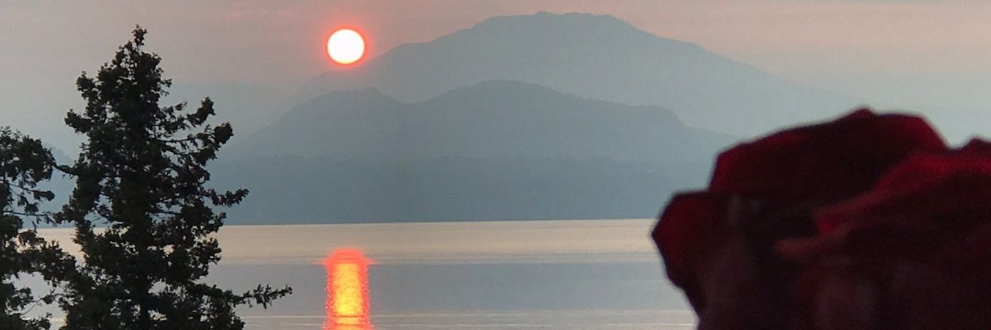 behraann's profile banner image