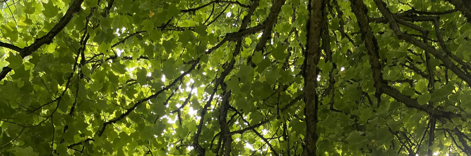 hikingboy48's profile banner image