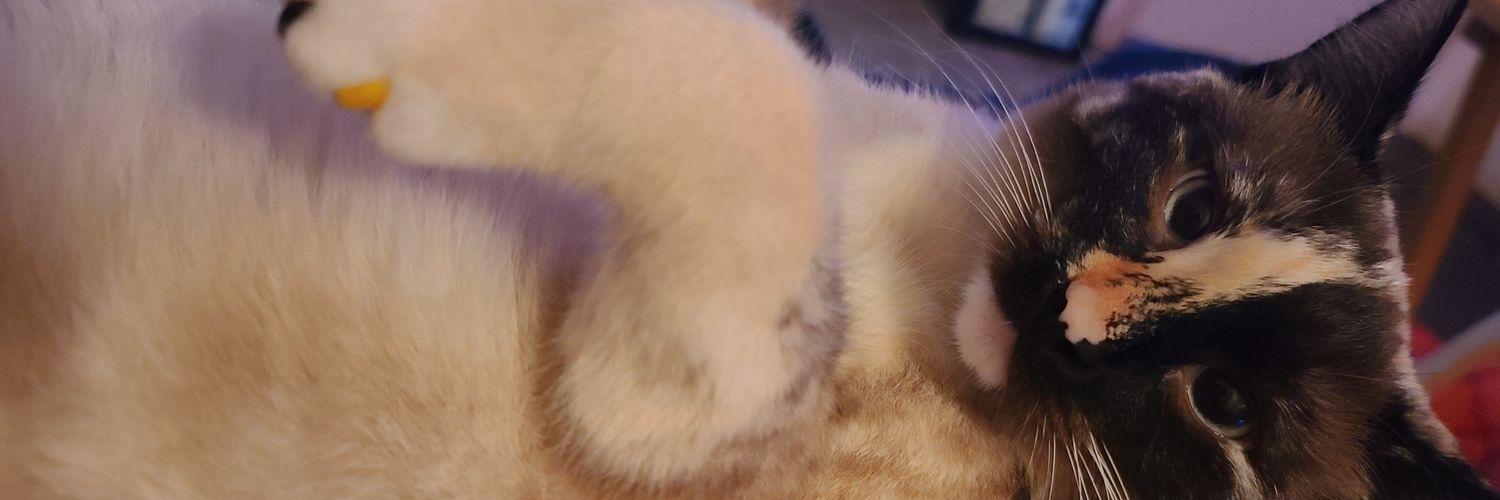 daviaun's profile banner image