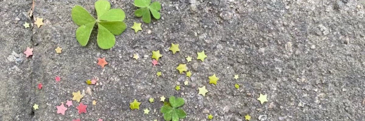 killuauauaua's profile banner image