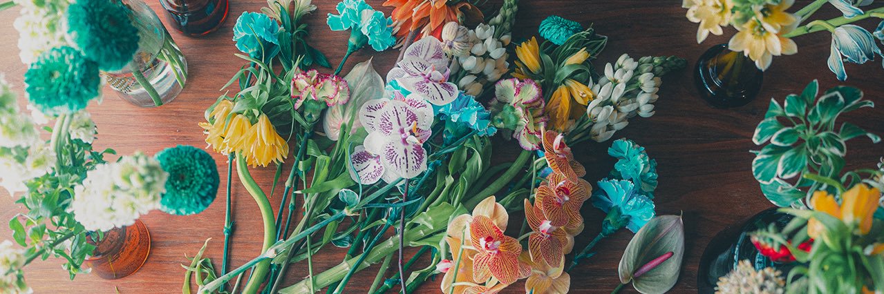 accobin_福岡晃子 banner