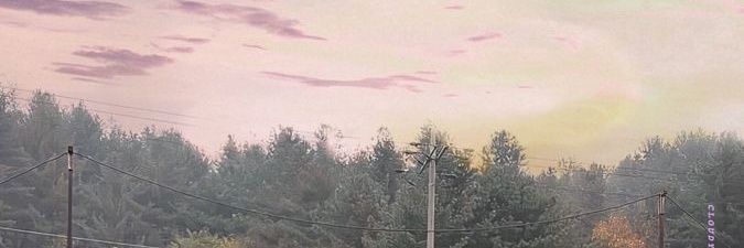 davin banner