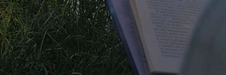krewstals's profile banner image