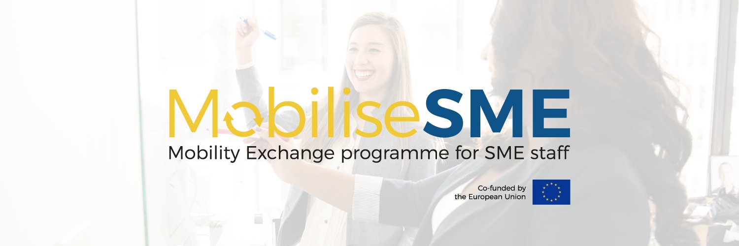 MobiliseSMEprogramme banner