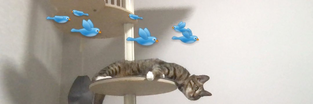 두깨🐶매기🐱 banner