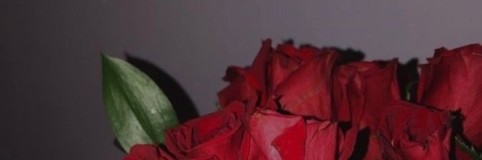 chocomatchacold's profile banner image