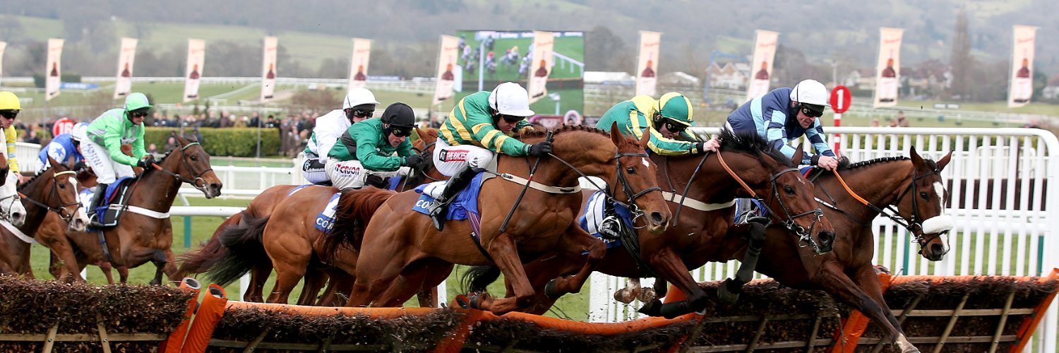 THE PG (Punters Guide) banner