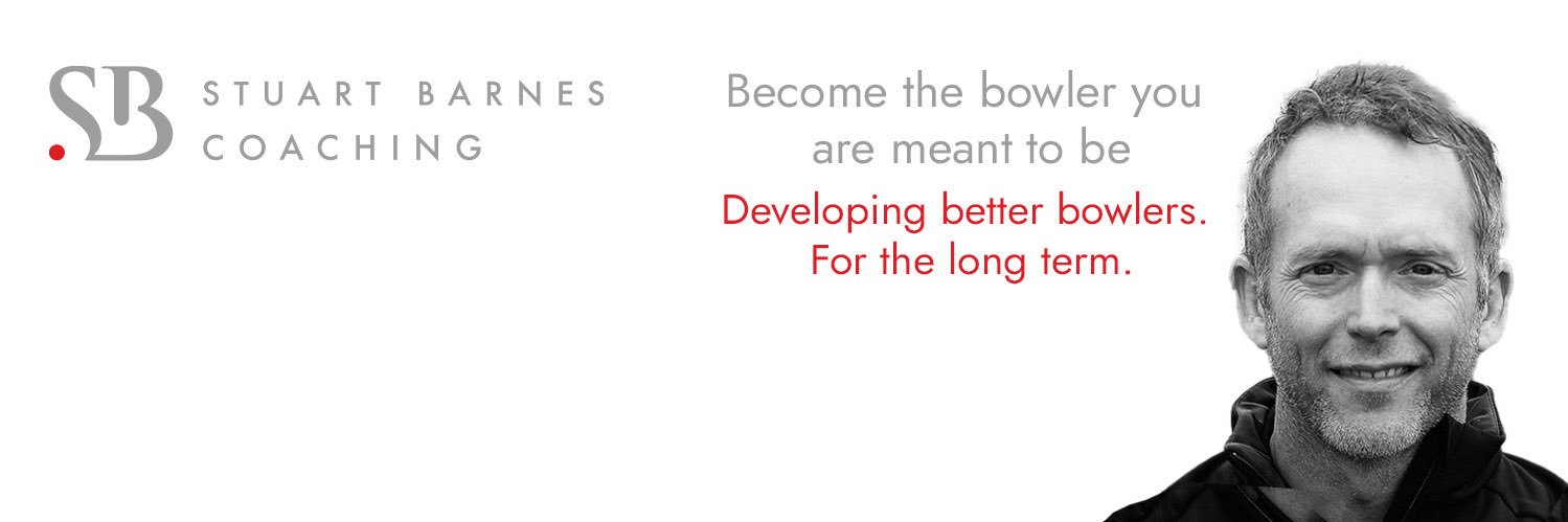 stuartbarnesconsulting banner
