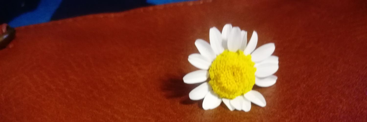 MelanieP_8's profile banner image
