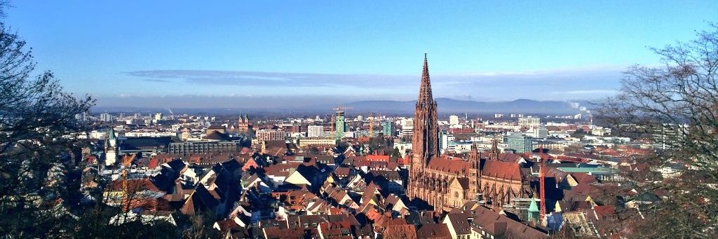 すみす🐨 banner