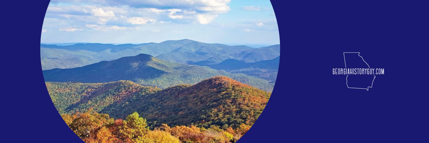 GeorgiaHistoryGuy banner