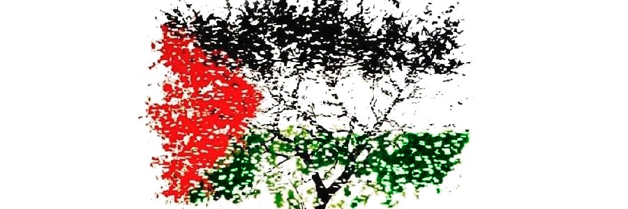 Josafat Concepcion 🔻ⵣ banner