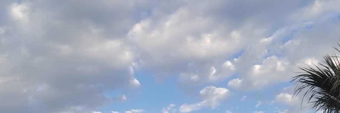Selin_bsv's profile banner image